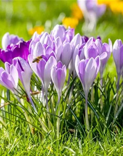 BUNTES OSTERFEST MIT FRüHLINGSBOTEN!